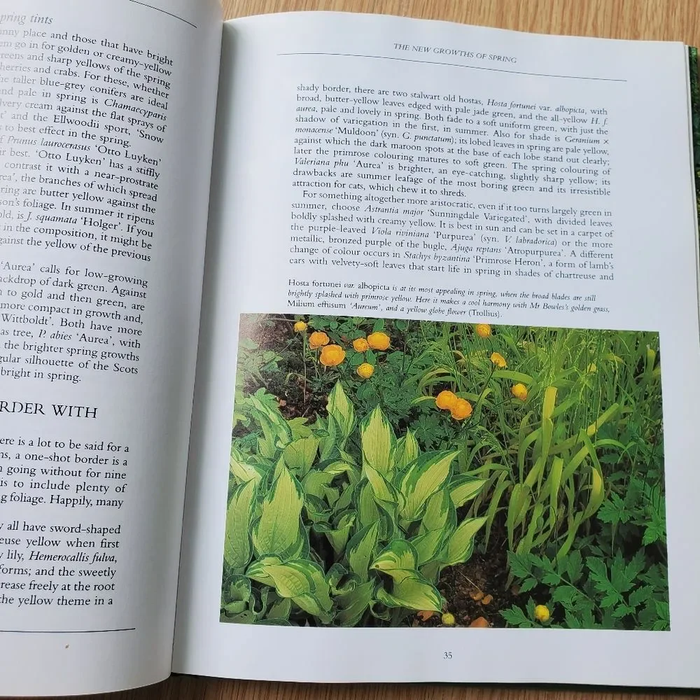Vintage Foliage for Year Round Colour Hardcover Coffee Table Decor‎ Book
